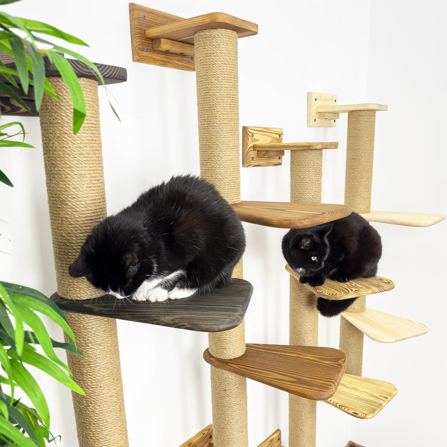 Stock in USA, Scratcher Cat 3 Sections, Cat Shelves, Cat Wall Furniture, Cat Scratching, Cat Tree, Cat Tower, Cat Climbing, Cat Supplies