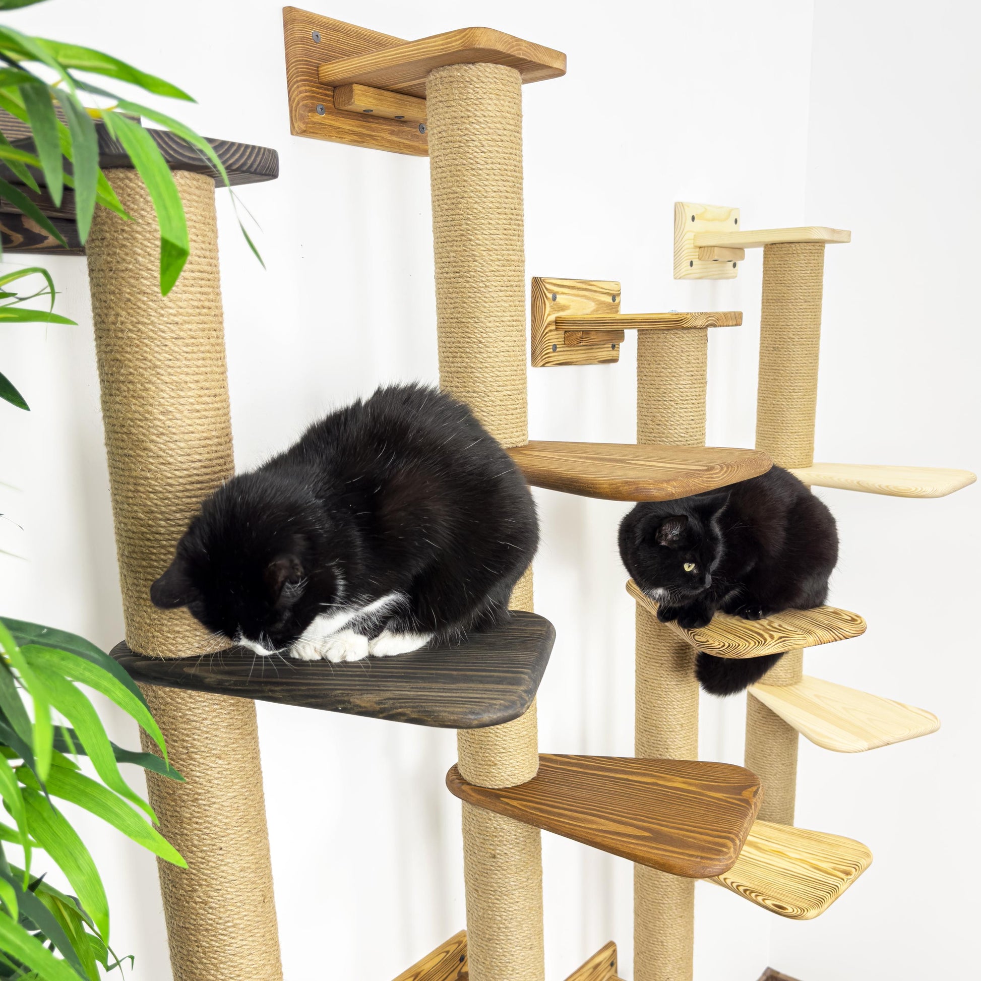 Stock in USA, Scratcher Cat 3 Sections, Cat Shelves, Cat Wall Furniture, Cat Scratching, Cat Tree, Cat Tower, Cat Climbing, Cat Supplies